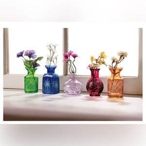 BRAND NEW IN BOX Petite Glass Bud Vases, Mutlicolored glass, set of 5
